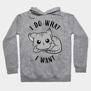 I Do What I Want Cats Hoodie